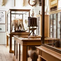 Musée de la Chasse et de la Nature