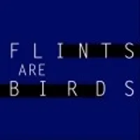 Flints Are Birds F