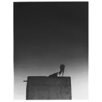 Ø