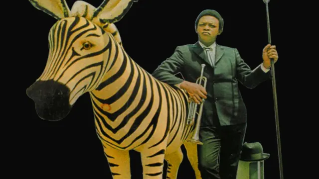Tanambo - 100% Cannes à tubes