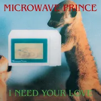 Microwave Prince