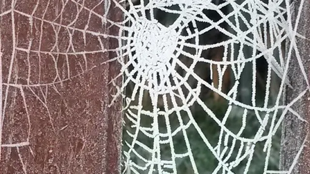 Arachné, la tisseuse rebelle