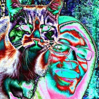 Snild Dolkow