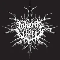 Inherits The Void