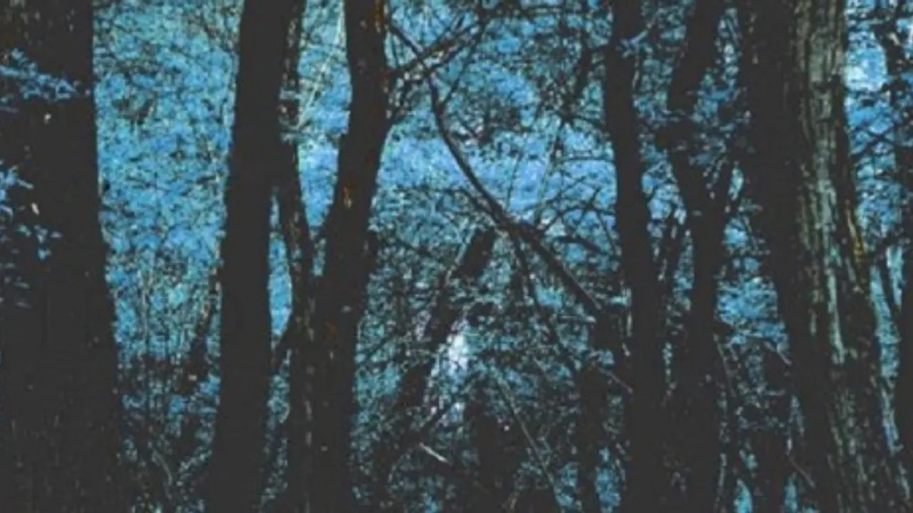 No Mountains • Sophie oZ • George Random // Supersonic - Gratuit