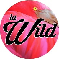 La W