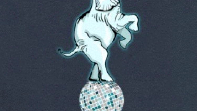 Disco sur Le Nil