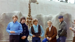 The Beach Boys