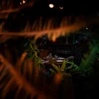Jungle Palace