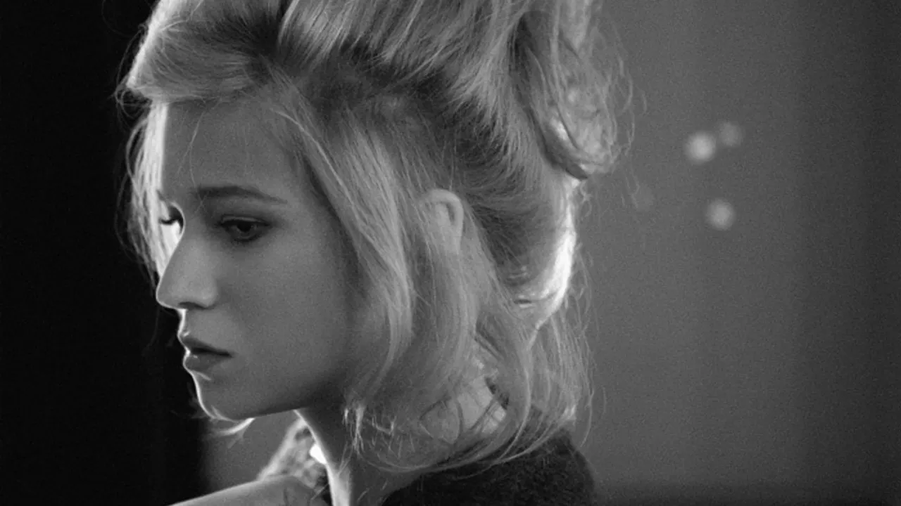 Selah Sue en concert
