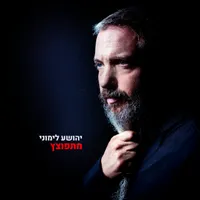 יהושע לימוני