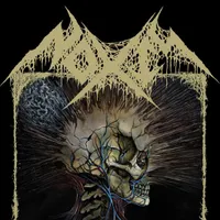 Noxis