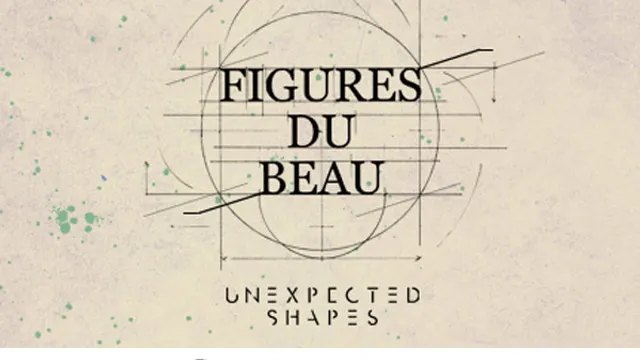 Exposition Figures du beau