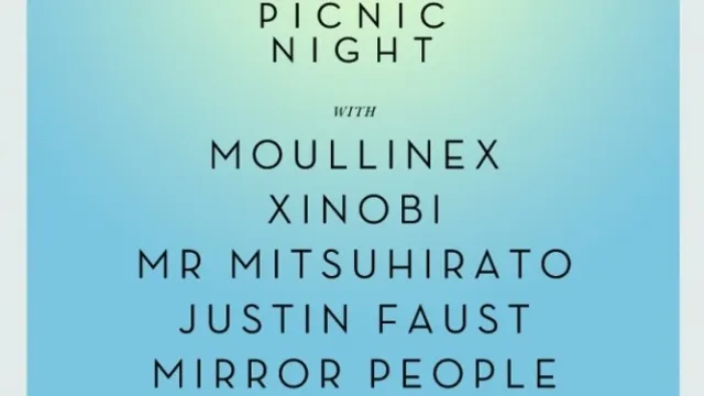 Discotexas Picnic Night