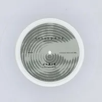 CV313