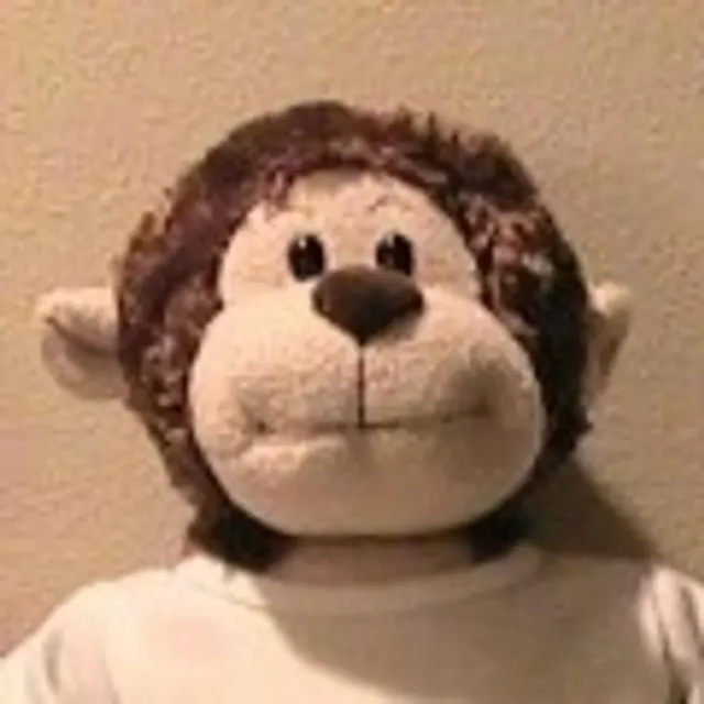Joe L