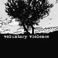 voluntaryviolence