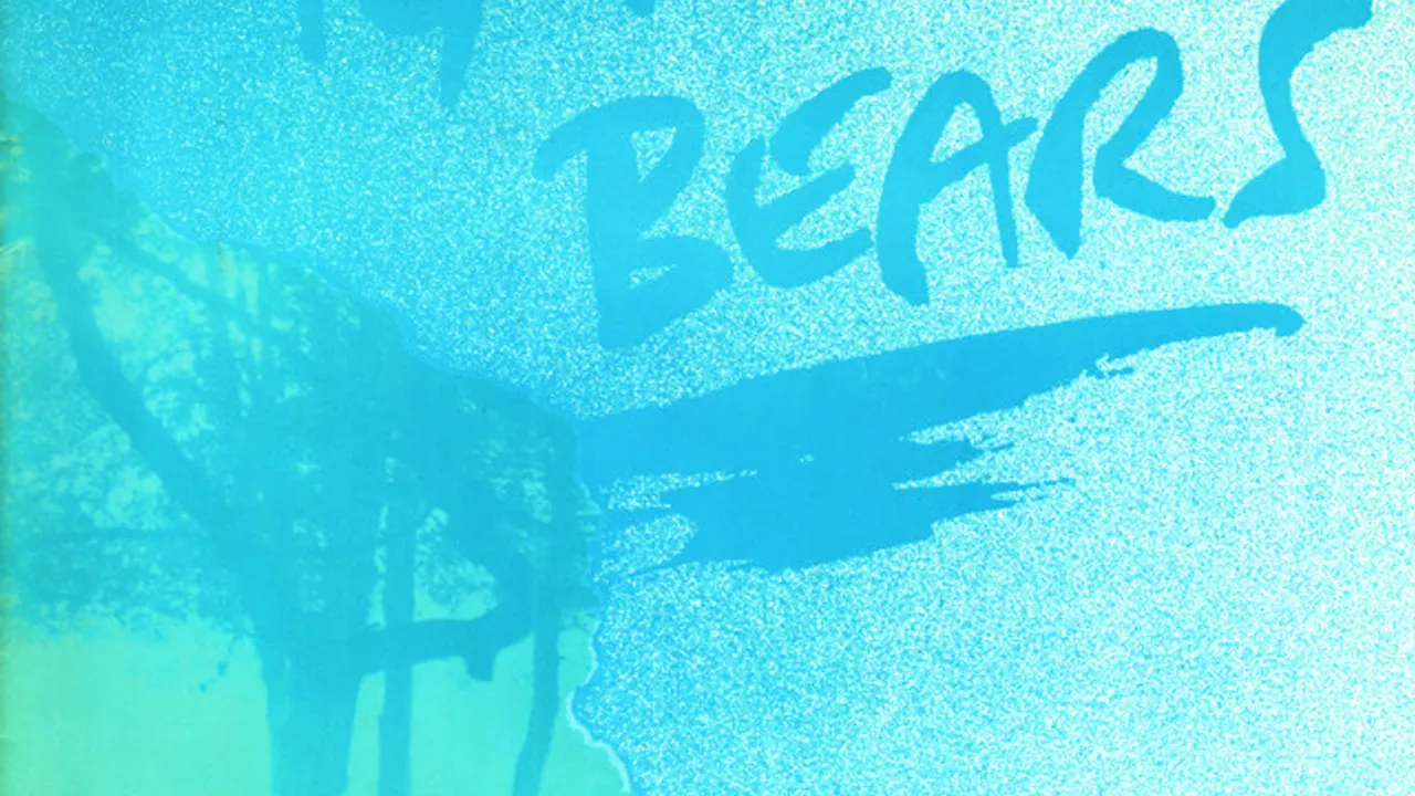14 Iced Bears