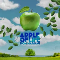 Dom Mariani