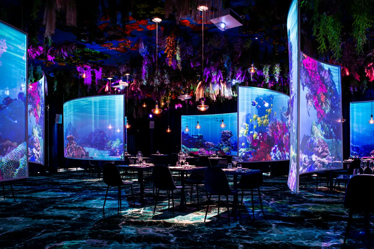 Under the sea