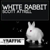 Scott Attrill