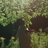 Gritfall