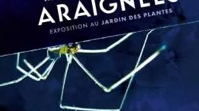 Au fil des araignées