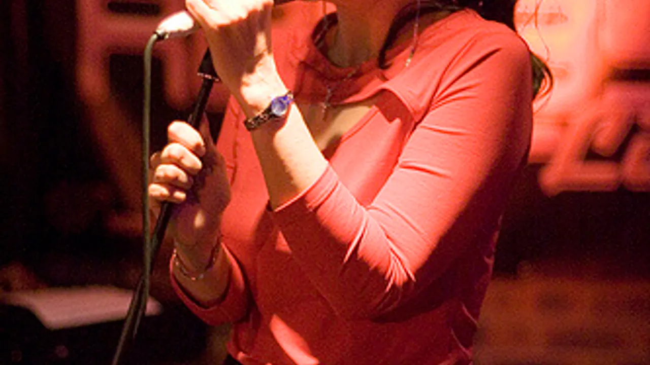 Virginia Constantine Project
