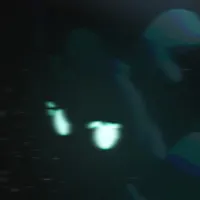 Fishcracks