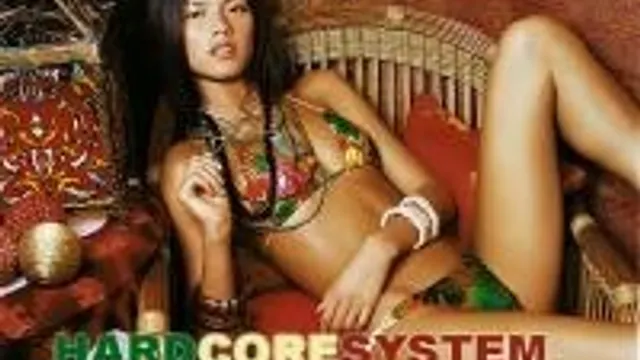 Hardcoresystem