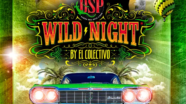 Wild Night by DSP