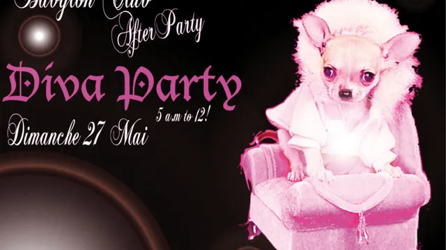 DIVA party