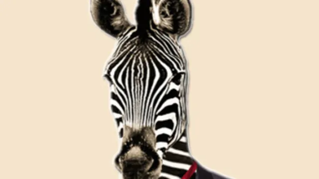 Monsieur Papillon fait son Cirque