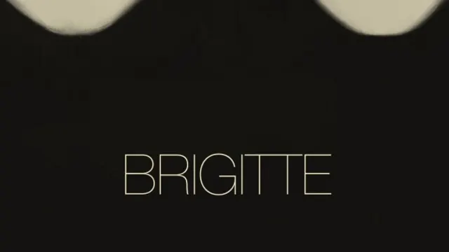 Brigitte en concert