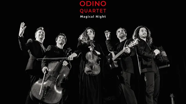 Magical Night