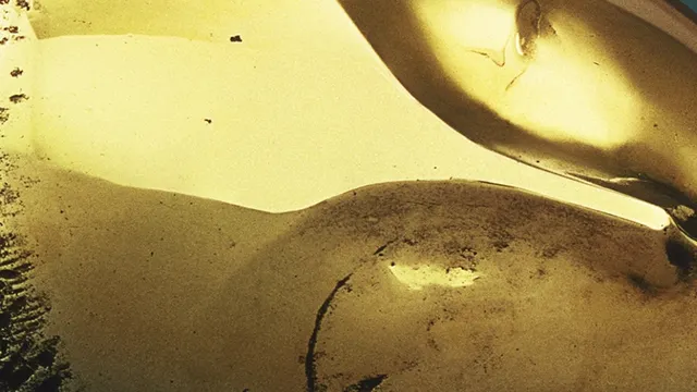 Brancusi