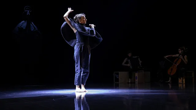 Sollicitudes - Hervé Robbe