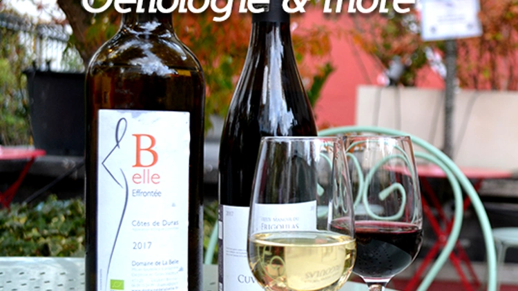 Le vin avec Adrien - Œnologie & more