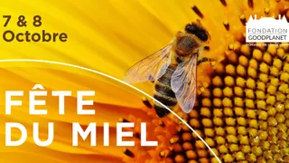 Fête du miel