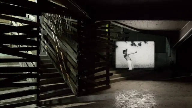 Joachim Koester - Reptile Brain Or Reptile Body, It's Your Animal