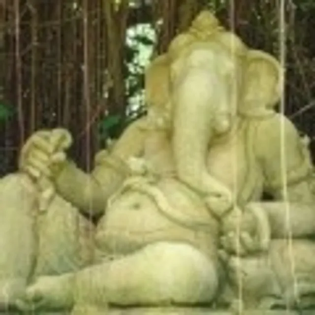 Nicolas N