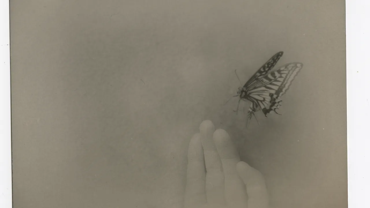 MIHO KAJIOKA DO YOU OPEN YOUR EYES IN THE SEA?
