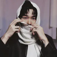 XINSAYNE