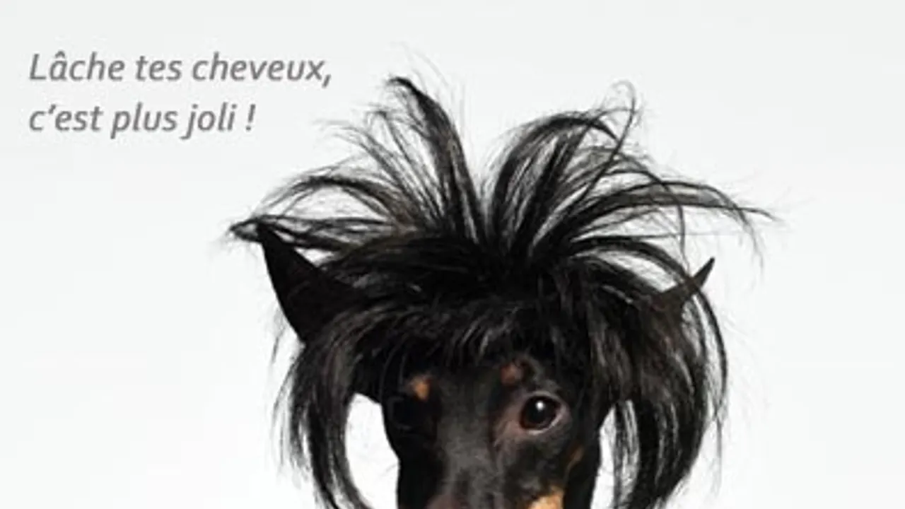 Haircut stratagem