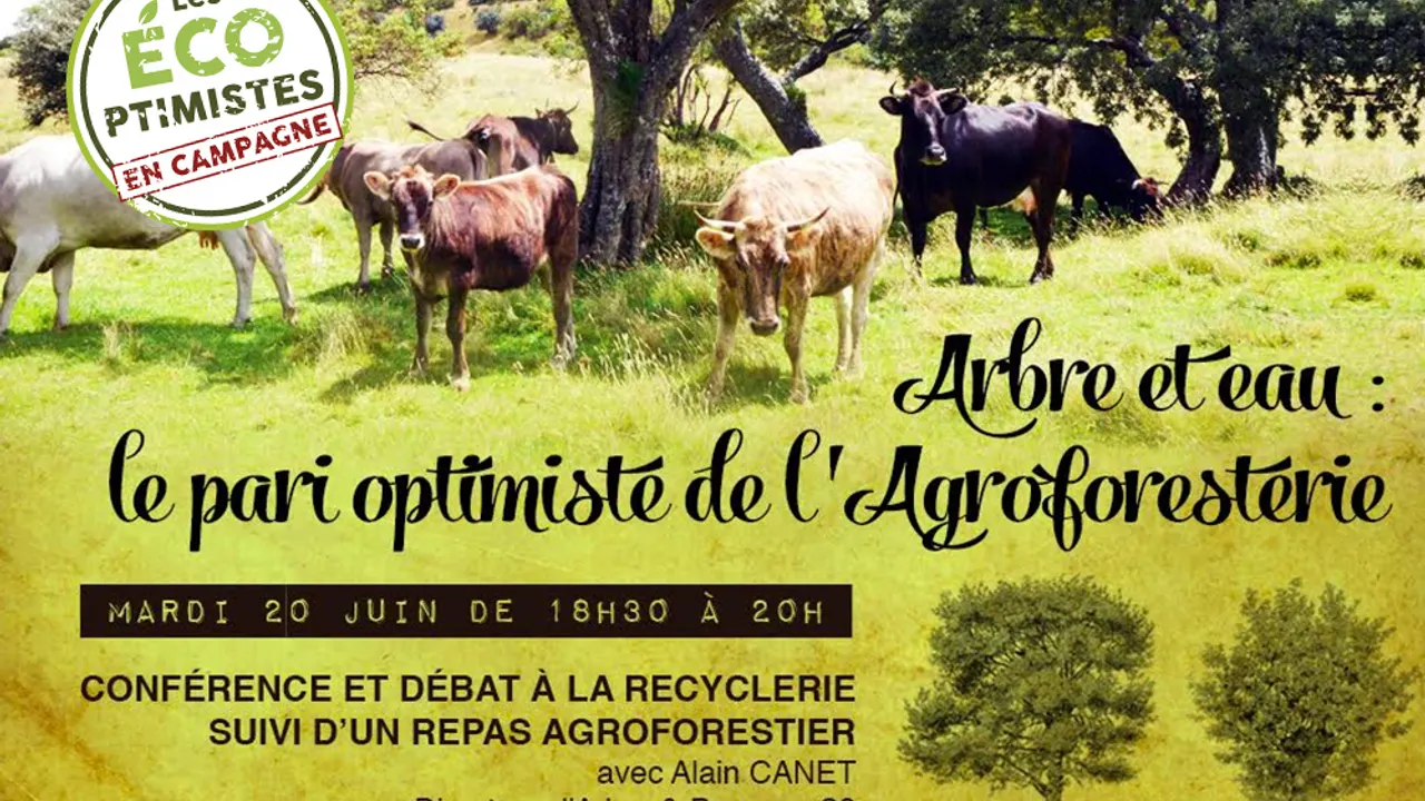 Arbre et eau : le pari optimiste de l'Agroforesterie
