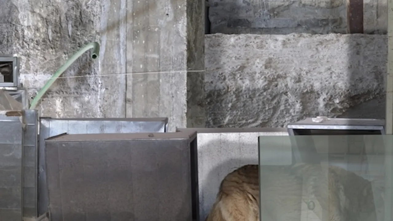 Exposition Prix Pictet "Disorder"