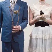 The Audreys