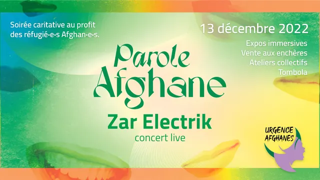 ZAR ELECTRIK LIVE - CONCERT CARITATIF