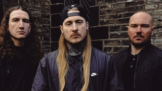 Ingested + Guest