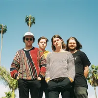 The Velveteins